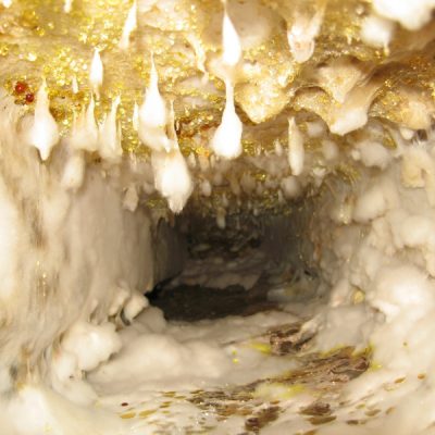 Dry Rot Discharges Water To Maintain Fluid Concentration