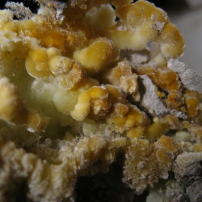 Sulphate crystals probably of sodium and calcium